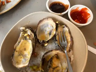 Oysters on a bed of salt with two small cups of sauce