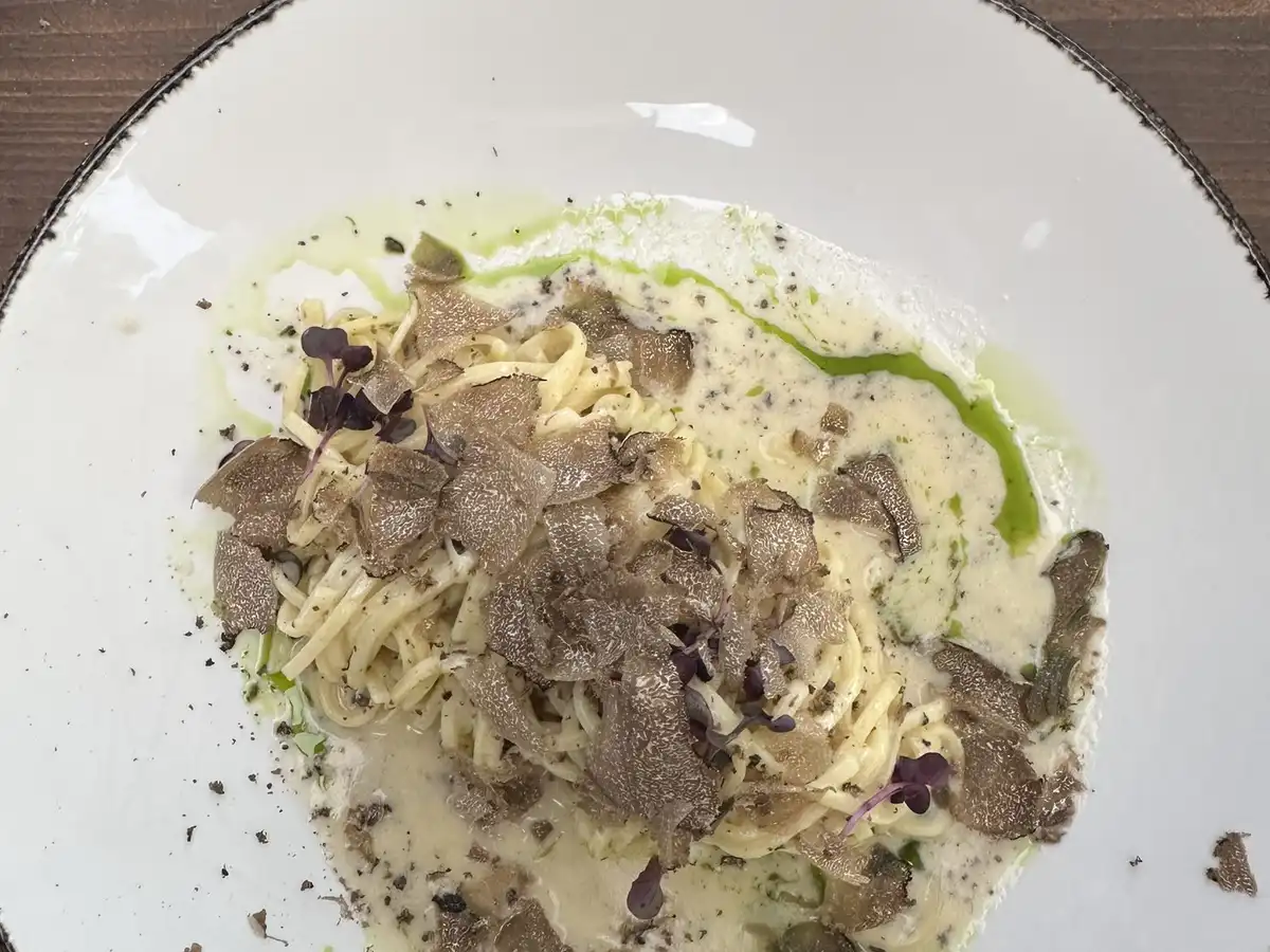 Tagliolini in a cream sauce with shaved black truffle and a line of green oil on a white plate