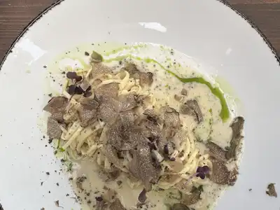 Tagliolini in a cream sauce with shaved black truffle and a line of green oil on a white plate