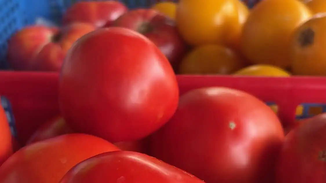 Crates of ripe red and orange tomatoes at a market stall
